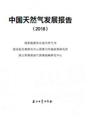 中國(guó)天然氣發(fā)展報(bào)告（2018）白皮書中英文版