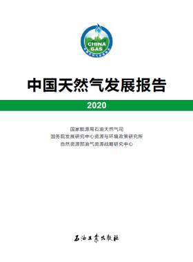 2020中國(guó)天然氣發(fā)展報(bào)告（含2017、2018、2019、2020）